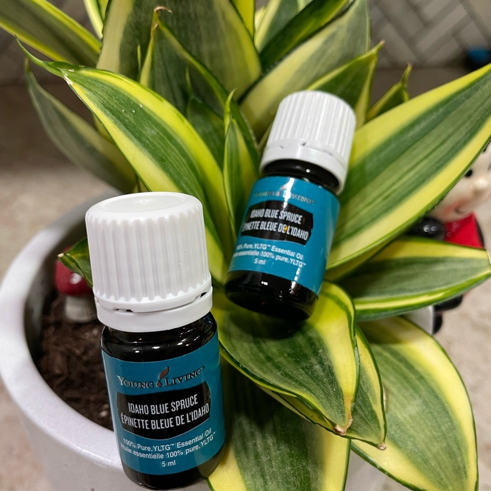 Young Living Idaho Blue Spruce Essential Oil
